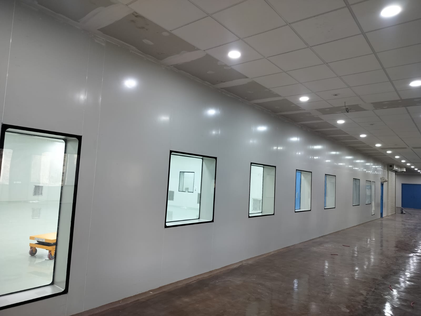 WhatsApp Image 2026-03-07 at 4.30.49 PM